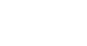 VIP sponsor 2